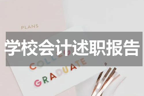 学校会计述职报告