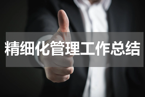 精细化管理工作总结