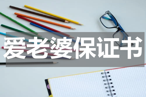 爱老婆保证书