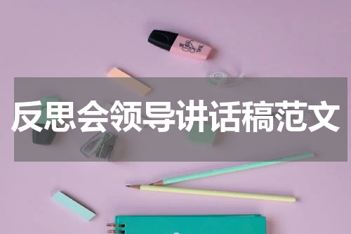 反思会领导讲话稿范文