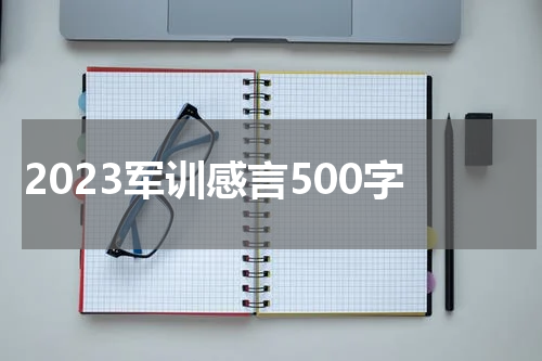 2023军训感言500字