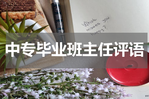 中专毕业班主任评语
