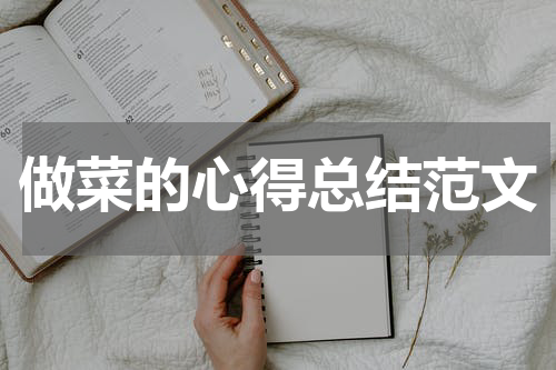 做菜的心得总结范文