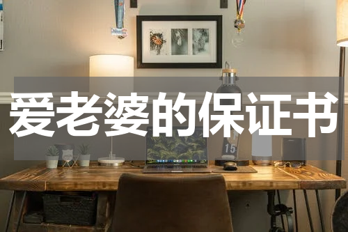 爱老婆的保证书