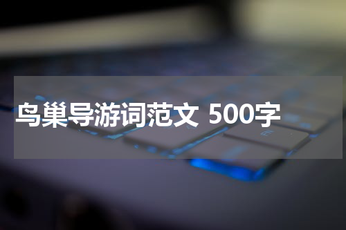 鸟巢导游词范文 500字