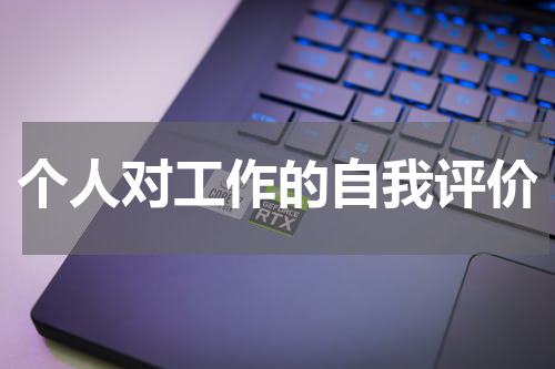 个人对工作的自我评价