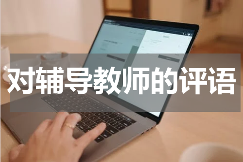 对辅导教师的评语