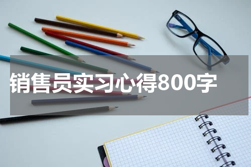 销售员实习心得800字