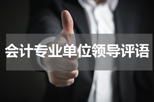 会计专业单位领导评语