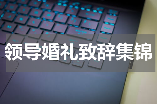 领导婚礼致辞集锦