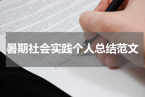 暑期社会实践个人总结范文