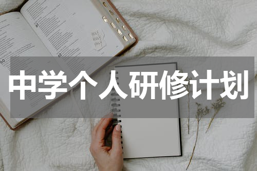 中学个人研修计划