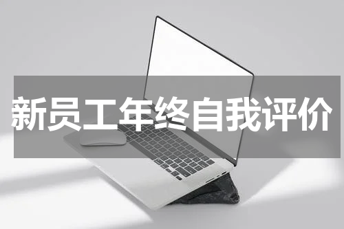 新员工年终自我评价