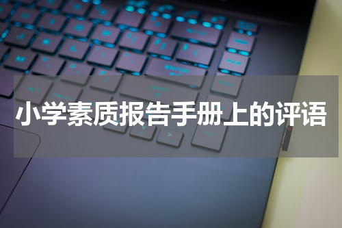 小学素质报告手册上的评语