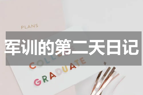 军训的第二天日记
