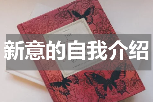 新意的自我介绍