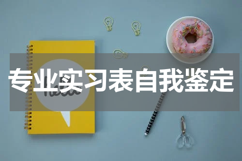 专业实习表自我鉴定