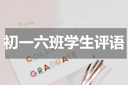 初一六班学生评语