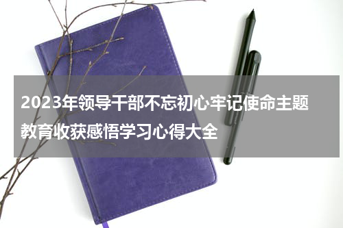 2023年领导干部不忘初心牢记使命主题教育收获感悟学习心得大全