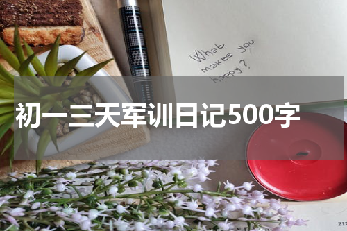 初一三天军训日记500字
