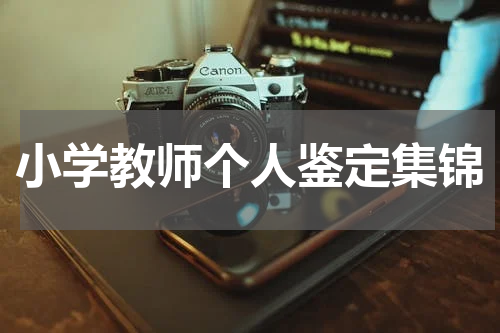 小学教师个人鉴定集锦
