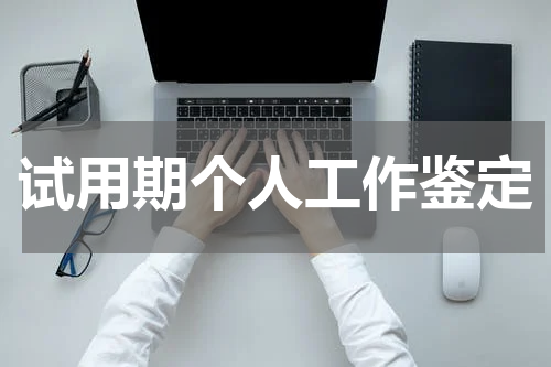 试用期个人工作鉴定