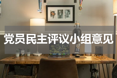 党员民主评议小组意见