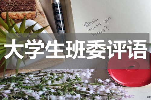 大学生班委评语