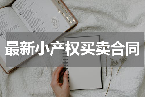 最新小产权买卖合同