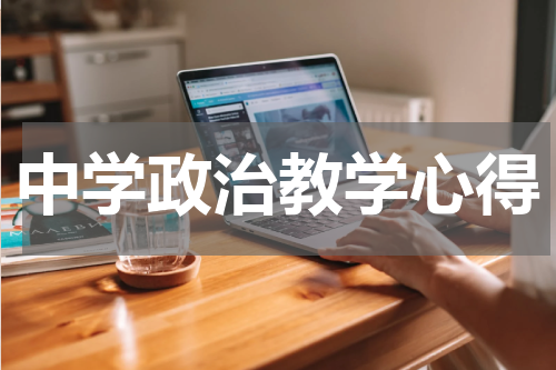 中学政治教学心得