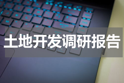土地开发调研报告