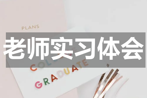 老师实习体会