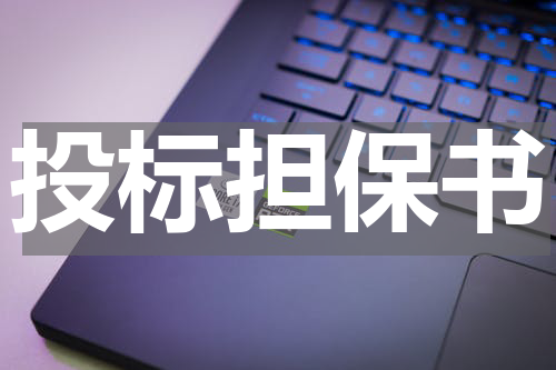 投标担保书