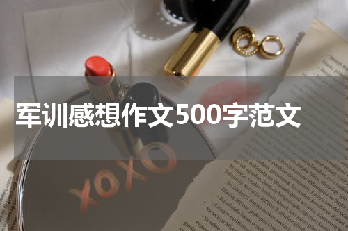 军训感想作文500字范文