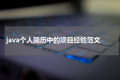 java个人简历中的项目经验范文