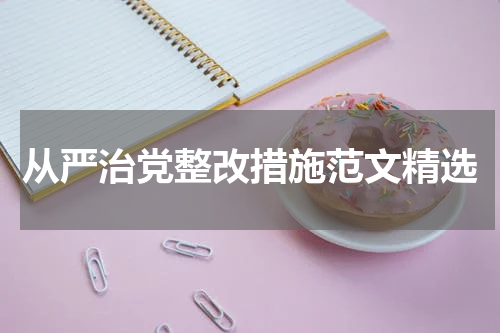 从严治党整改措施范文精选