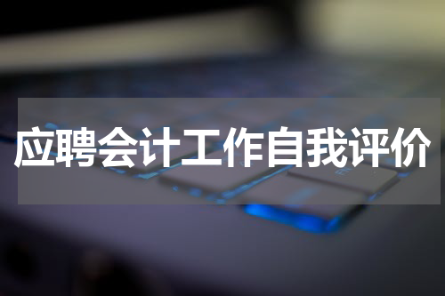 应聘会计工作自我评价