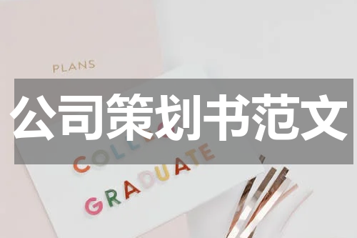公司策划书范文