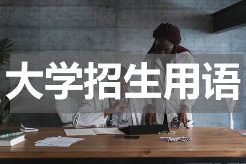 大学招生用语