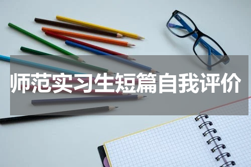 师范实习生短篇自我评价