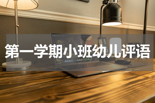 第一学期小班幼儿评语