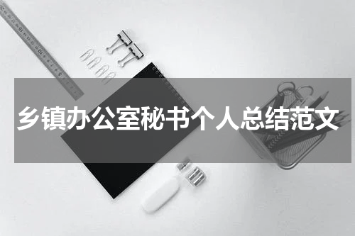 乡镇办公室秘书个人总结范文