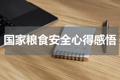 国家粮食安全心得感悟