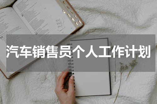 汽车销售员个人工作计划