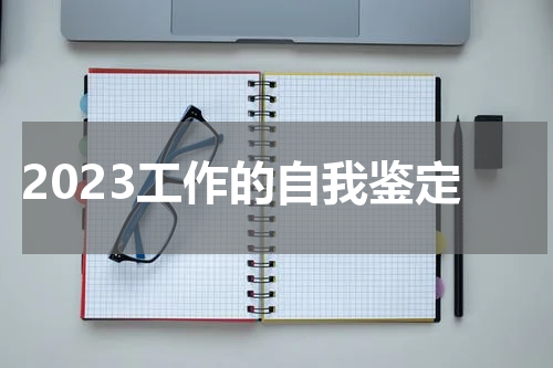 2023工作的自我鉴定