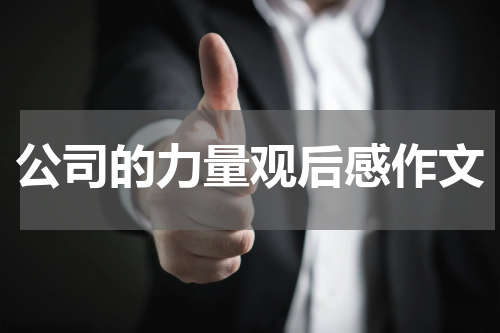 公司的力量观后感作文