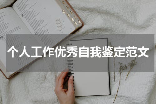 个人工作优秀自我鉴定范文