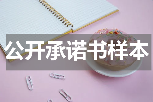 公开承诺书样本