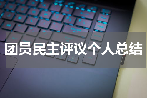 团员民主评议个人总结