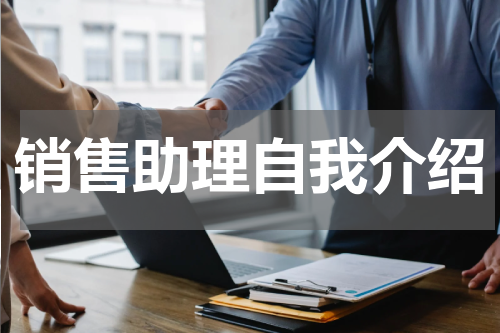 销售助理自我介绍